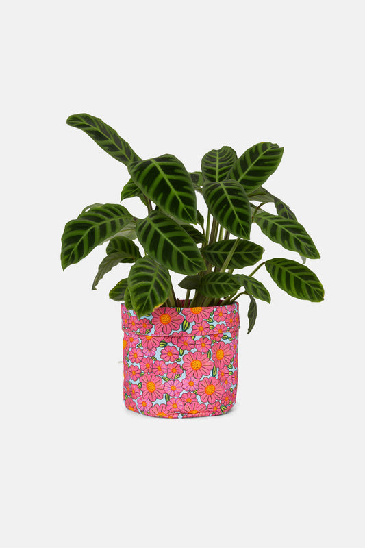 Gorman NZ - Spring Flower Planter Med - print