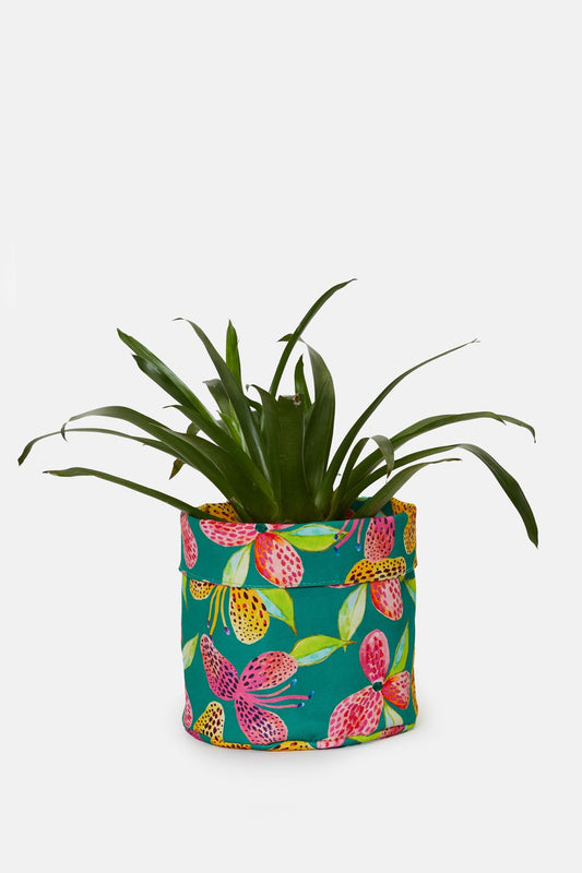 Gorman NZ - Hot House Planter Med - print