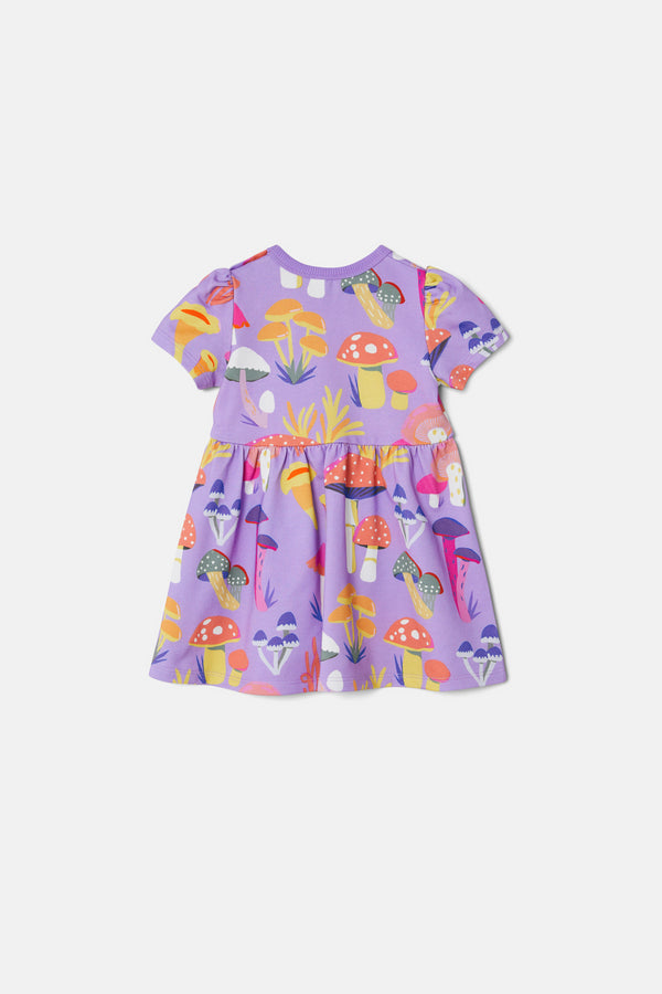lilac